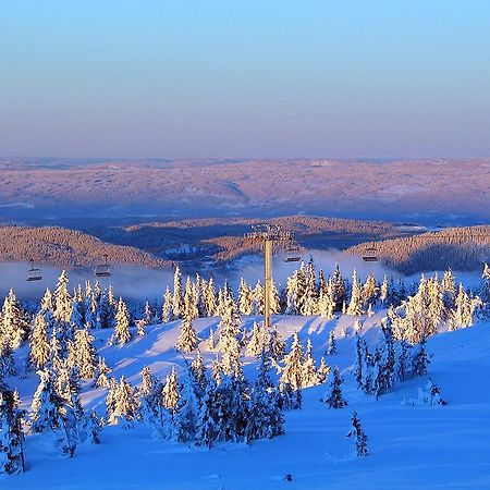 Sjusjoen Hytteutleie As Exterior foto