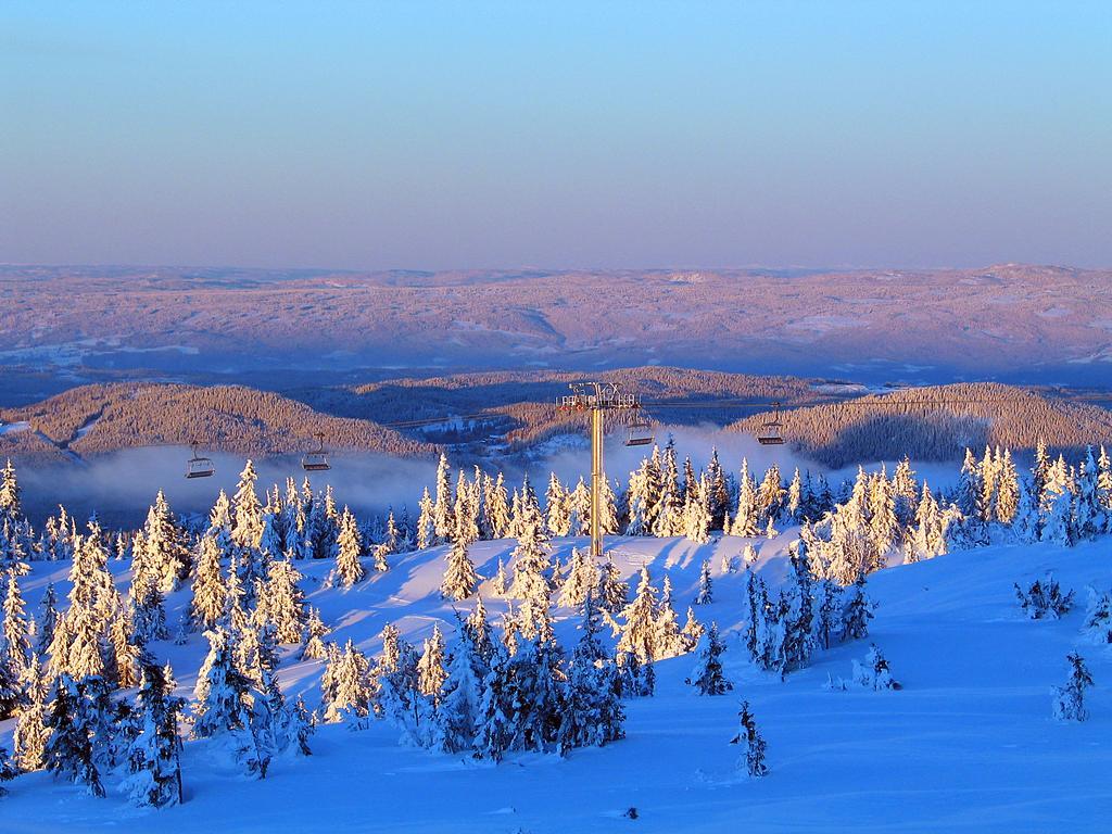 Sjusjoen Hytteutleie As Exterior foto